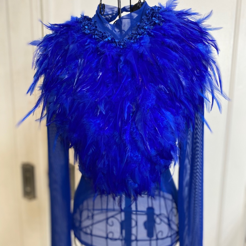 Royal Blue Sheer Feather Top